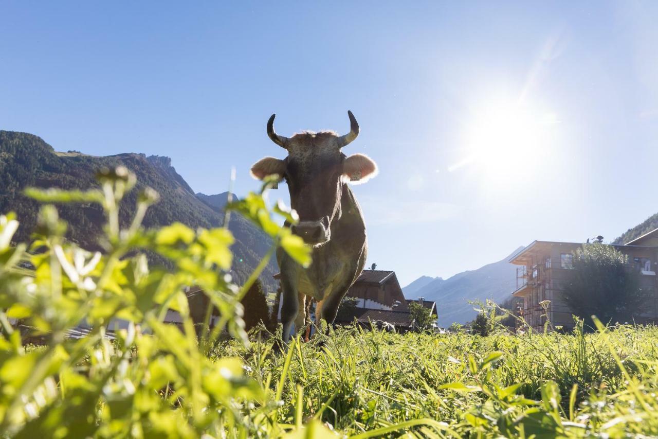 Hieserhof Neustift im Stubaital Exteriér fotografie